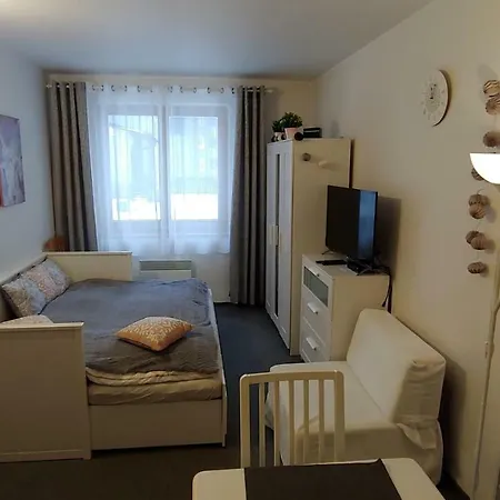 Horsky Roky - Krkonose Apartment *