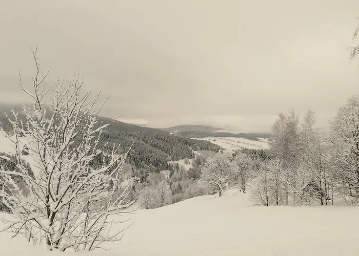 Appartement Horsky Roky - Krkonose